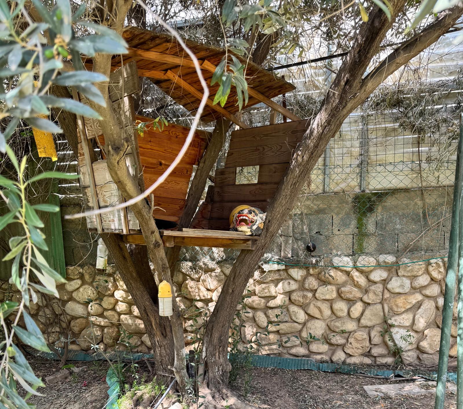 יצירה 9